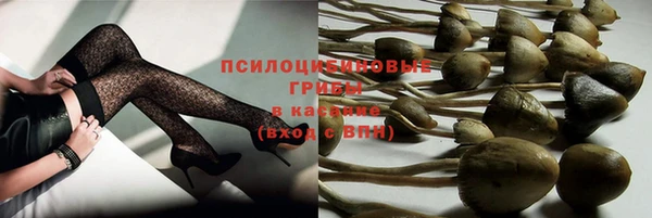 шишки Балахна
