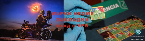 шишки Балахна